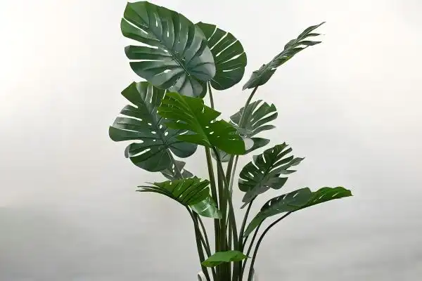 9 Creative Ways to Decorate with an Artificial Monstera Potted Plant